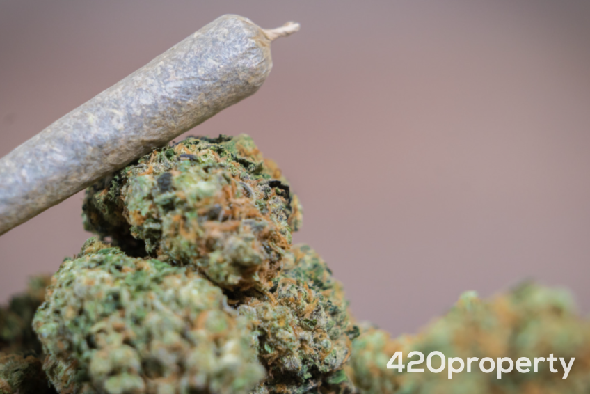 Cannabis Businesses For Sale | Cannabis Delivery Business For Sale