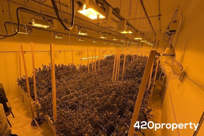 Cannabis Real Estate Listings | Cannabis Warehouses and Industrial Buildings For Sale