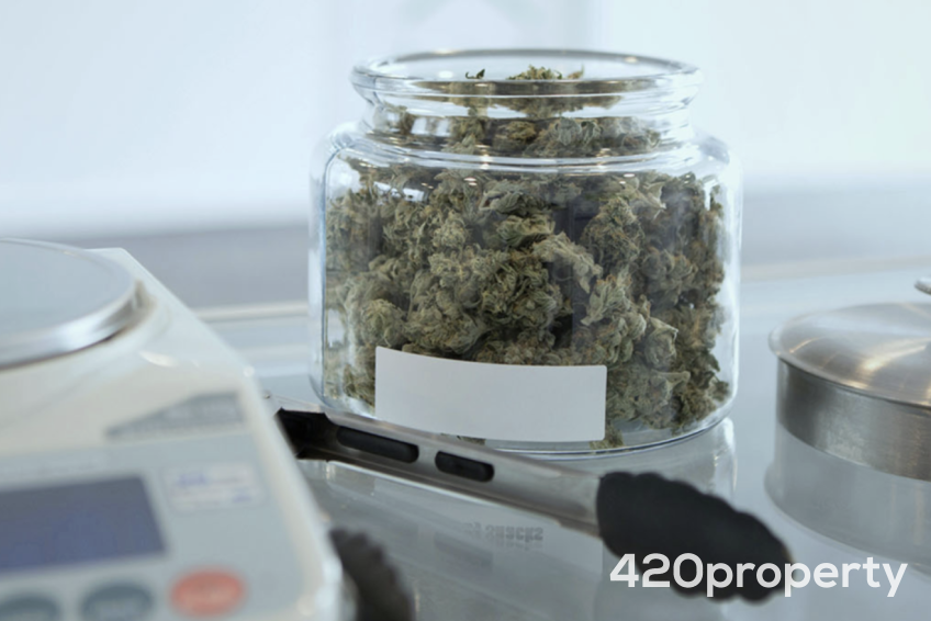 Cannabis Businesses For Sale | Cannabis Retail Stores & Dispensaries For Sale