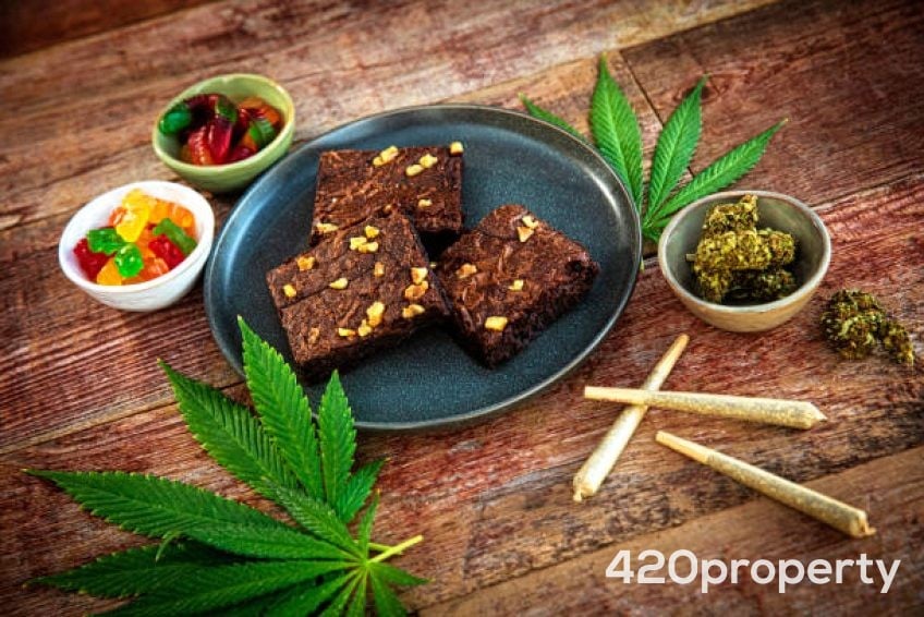 Cannabis Businesses For Sale | Cannabis Manufacturing / Processing Businesses For Sale