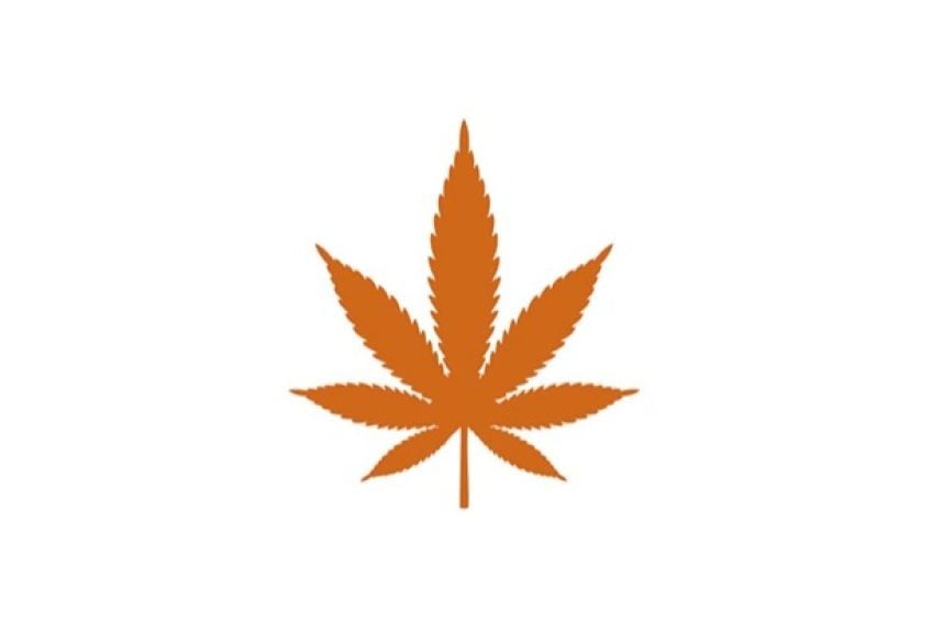 Cannabis Businesses For Sale | Cannabis Business Licenses For Sale