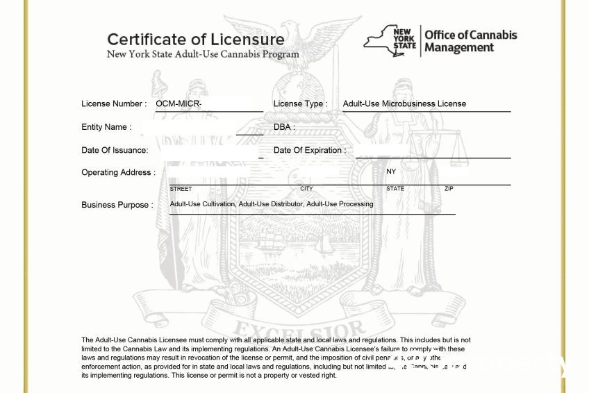 Cannabis Businesses For Sale | Cannabis Business Licenses For Sale