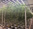 Fully Licensed and Operational Grow Facility in OKC