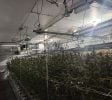 Fully Licensed and Operational Grow Facility in OKC