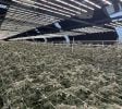 Cannabis Businesses For Sale | Cannabis Cultivation/ Grow Businesses For Sale