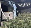 Turnkey Hybrid Indoor Cannabis Operation