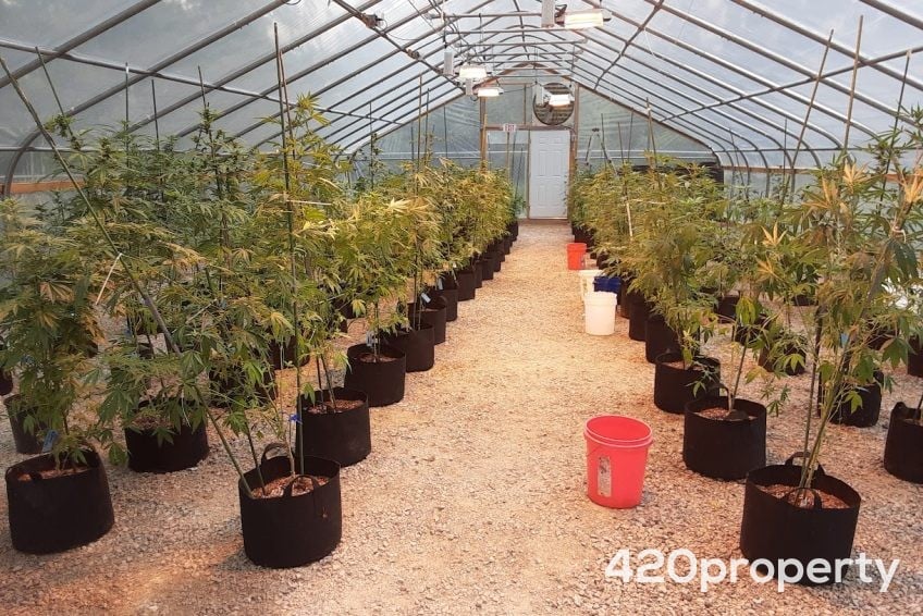 Cannabis Real Estate Listings | Cannabis & Hemp Zoned Land For Sale