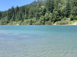 Epic river front farm. Close to town. Turnkey. Mixed Light and Outdoor