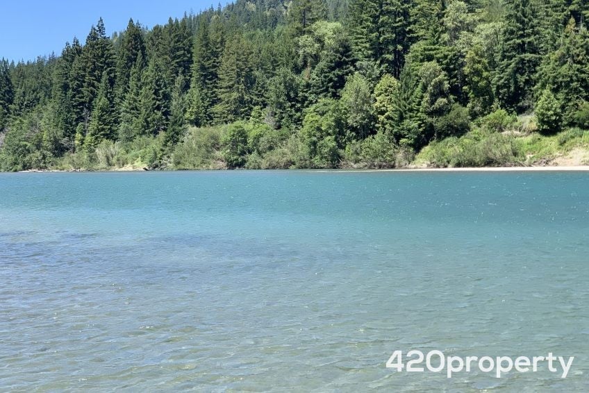 Cannabis Businesses For Sale | Cannabis Cultivation/ Grow Businesses For Sale