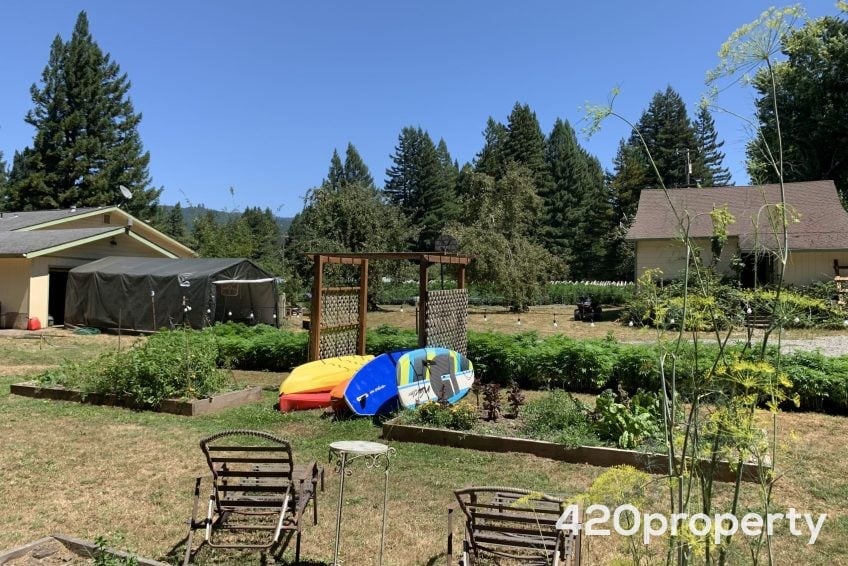 Cannabis Businesses For Sale | Cannabis Cultivation/ Grow Businesses For Sale