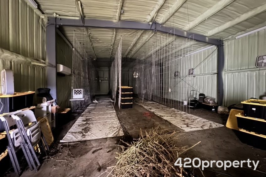 Cannabis Businesses For Sale | Cannabis Cultivation/ Grow Businesses For Sale