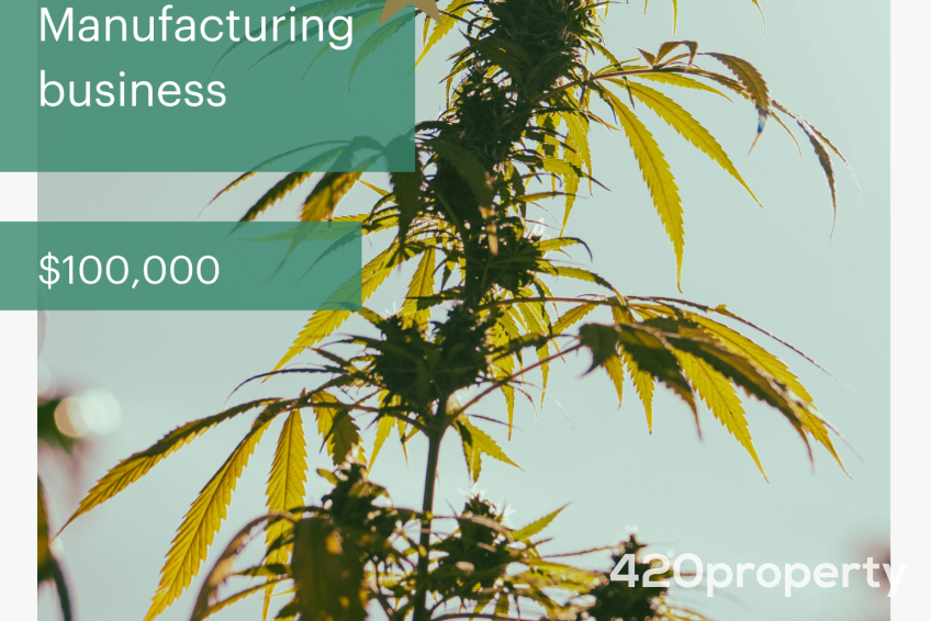 Cannabis Businesses For Sale | Cannabis Business Licenses For Sale