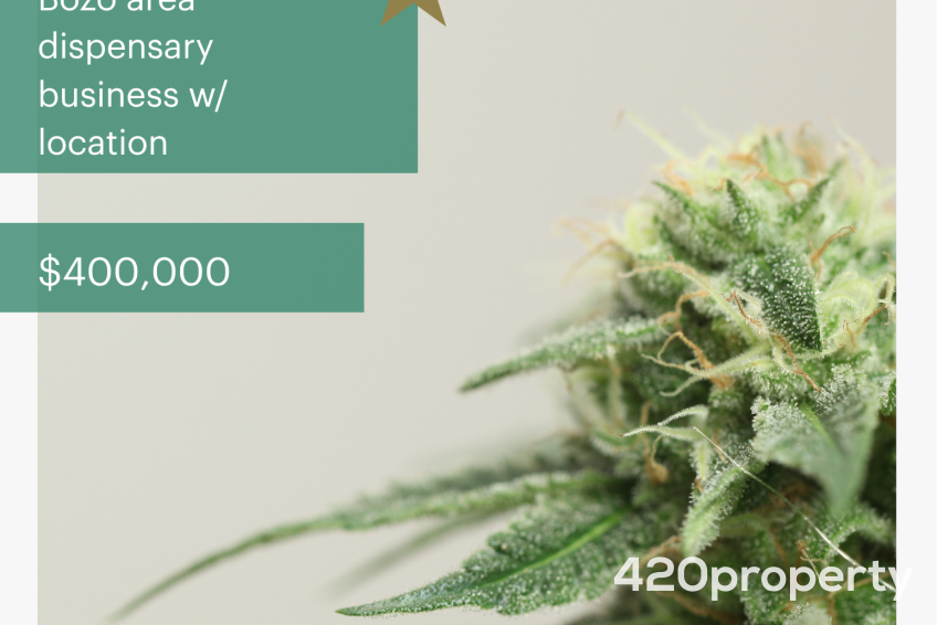 Cannabis Businesses For Sale | Cannabis Retail Stores & Dispensaries For Sale