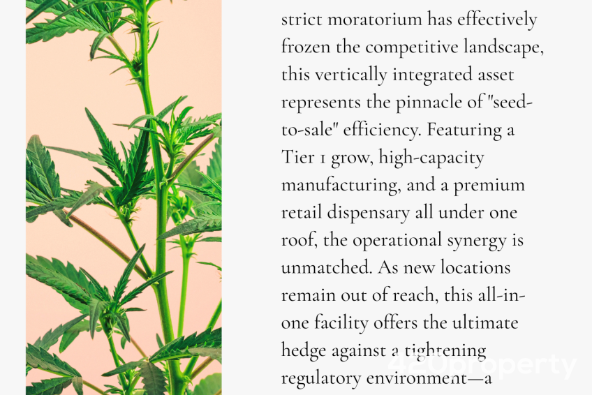 Businesses For Sale | Retail Stores & Dispensaries For Sale