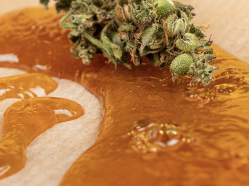 High Demand Tier 1 Processing Cannabis License For Sale Option to Purchase the Real Estate (Albany, New York) #1999