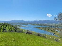 59.52 ACRES – HEMP PERMITTED OFF GRID