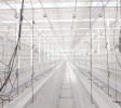 Class A Industrial Greenhouse & Warehouse Complex · 41,802 SF · 4.99 Acres · I-25 Corridor*