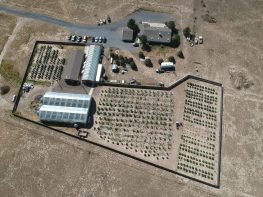 Active and Fully Operational Tier 2 Cultivation with Residence.