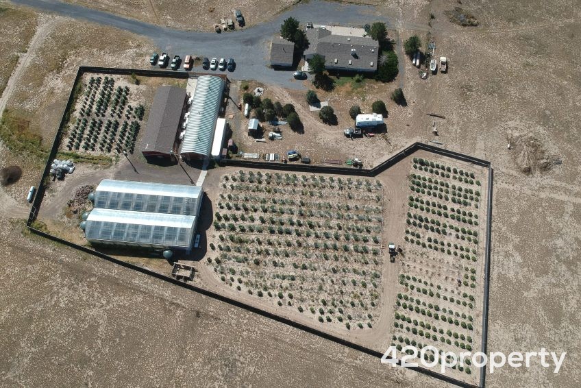 Cannabis Real Estate Listings | Cannabis Greenhouses For Sale