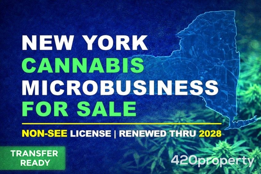 Cannabis Businesses For Sale | Cannabis Business Licenses For Sale
