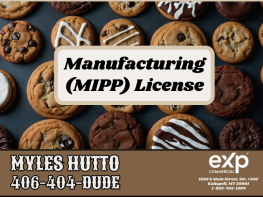 Manufacturing License (MIPP) for Sale