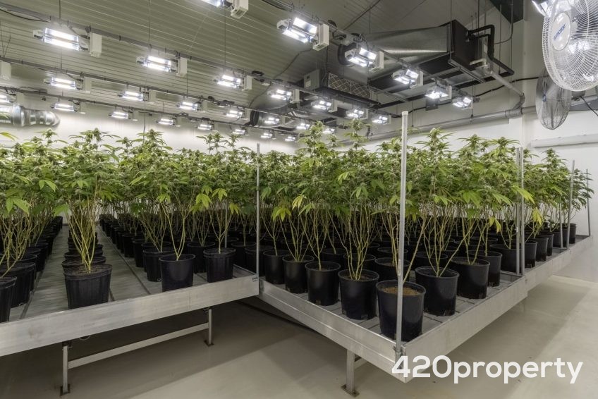 Cannabis Real Estate Listings | Other Commercial Properties for Cannabis Business Use For Sale