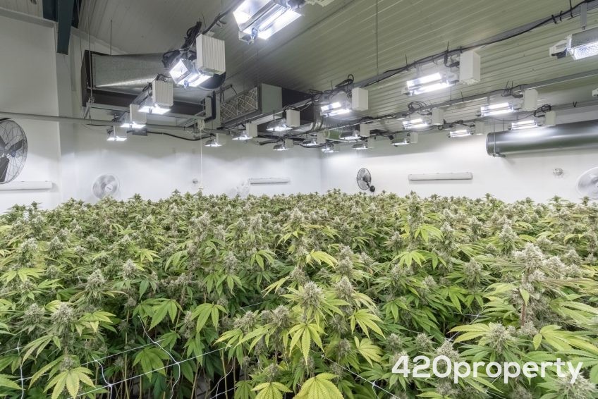 Cannabis Real Estate Listings | Other Commercial Properties for Cannabis Business Use For Sale
