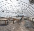 Finger Lakes Greenhouse, Acreage and Residential