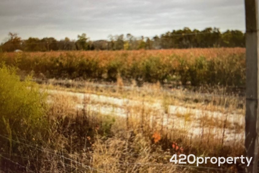 Cannabis Real Estate Listings | Cannabis & Hemp Zoned Land For Sale