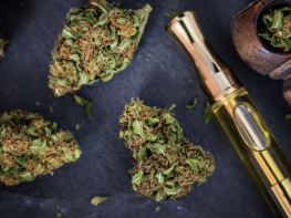 Fully Built Out Cannabis Cultivation & Manufacturing Facility Opportunity Being Sold at Real Estate Value Only! | Licenses Included (Fort Collins, Colorado) #2013