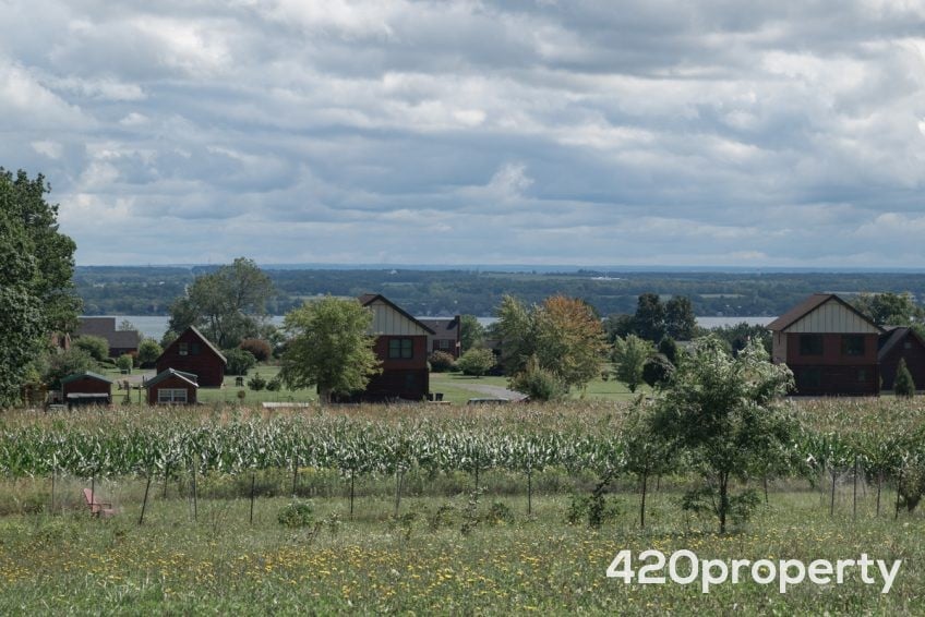 Cannabis Real Estate Listings | Cannabis Greenhouses For Sale