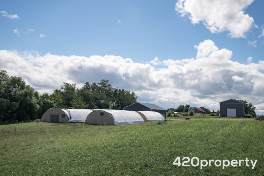 Cannabis Real Estate Listings | Cannabis Greenhouses For Sale