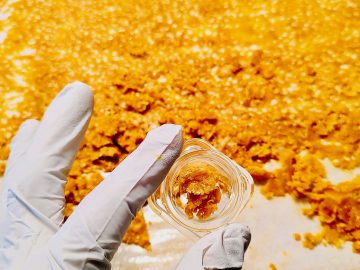Established Colorado Springs Medical Marijuana MIPS and GROW licenses