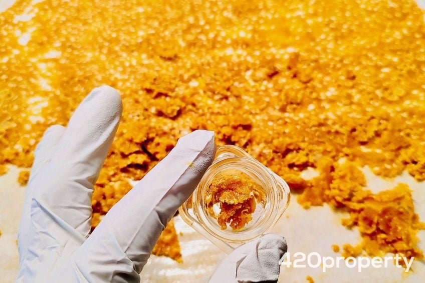 Cannabis Businesses For Sale | Cannabis Manufacturing / Processing Businesses For Sale