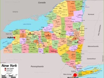 NEW YORK DISPENSARY PORTFOLIO