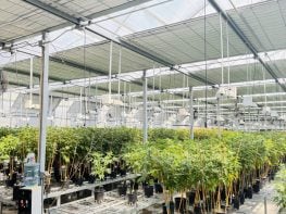For Sale: Turnkey Tier 3 Cannabis Production & Processing Facility – SW Pugent Sound, WA