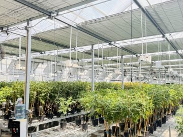 For Sale: Turnkey Tier 3 Cannabis Production & Processing Facility – SW Pugent Sound, WA