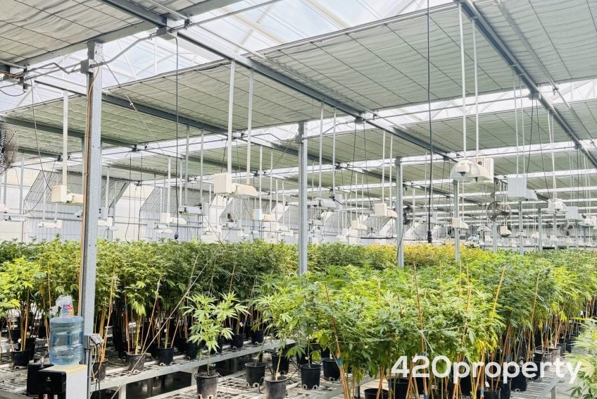 Cannabis Real Estate Listings | Cannabis Greenhouses For Sale