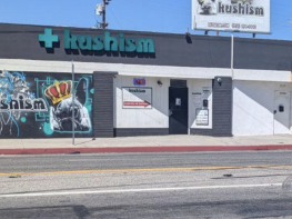 PRE ICO DISPENSARY IN VAN NUYS