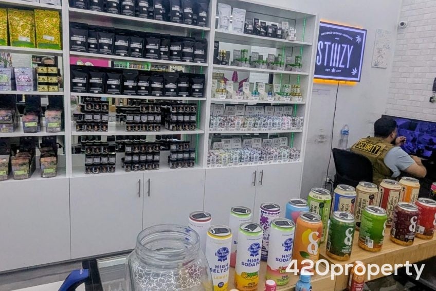 Cannabis Businesses For Sale | Cannabis Retail Stores & Dispensaries For Sale