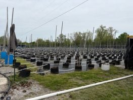 Nearly Turnkey Outdoor and Indoor Cannabis Grow