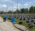 Nearly Turnkey Outdoor and Indoor Cannabis Grow