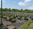 Nearly Turnkey Outdoor and Indoor Cannabis Grow