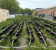 Nearly Turnkey Outdoor and Indoor Cannabis Grow