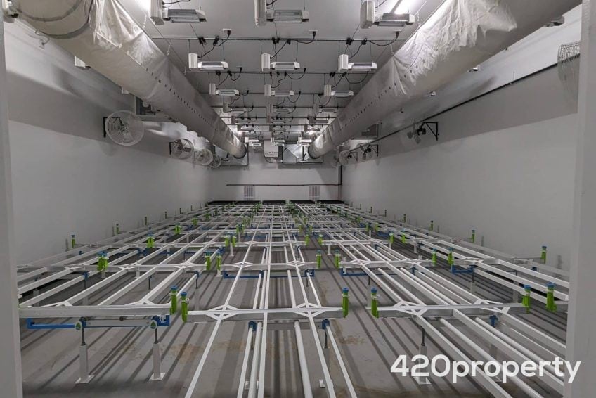 Cannabis Real Estate Listings | Cannabis Warehouses and Industrial Buildings For Lease