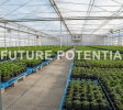 Cannabis-Approved Former Canning Facility on ±30 Acres | Substantial 3-Phase Power | Indoor, Outdoor & Greenhouse Potential