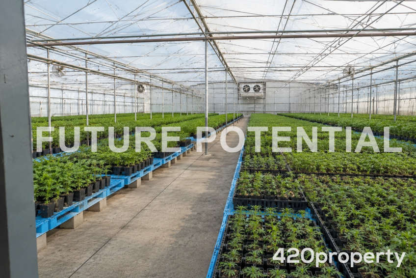 Cannabis Real Estate Listings | Cannabis Warehouses and Industrial Buildings For Sale