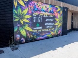 PRE ICO DISPENSARY IN VAN NUYS