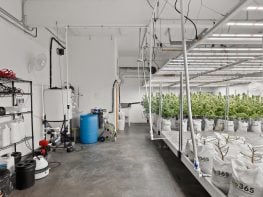 Portland City Limits Location – Grow Opportunity 541.690.8618