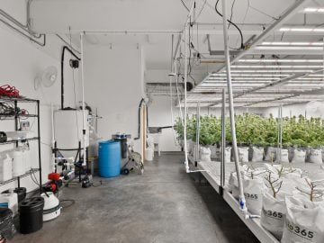 Portland City Limits Location – Grow Opportunity 541.690.8618